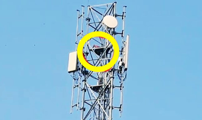 স্ত্রীর সঙ্গে ঝগড়া করে স্বামী সোজা উঠে পড়লেন ১২০ ফুট উঁচু মোবাইল টাওয়ারে